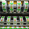 Roll Film